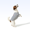 SGHYC_PARISIAN PUP SHIRT