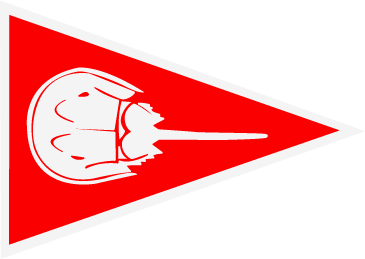 StgHbYC - Flat Burgee