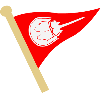 StgHbYC - Wavy Burgee