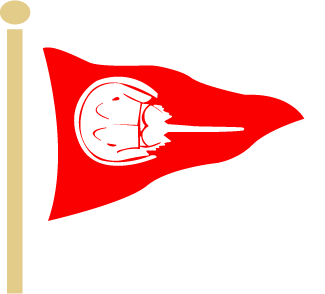 StgHbYC - Double Wavy